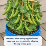 Wrap an Old Garden Hose Around a Bucket and 2 Surprising Materials — The DIY Garden Idea Everyone Is Talking About