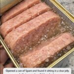 Press Wet Cement into Cheap Plastic Fly Swatters and 2 Basic Items, and Nobody Will Believe the Stunning Backyard Transformation