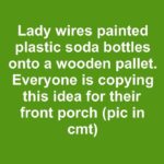 Wrap Chicken Wire Around Pool Noodles and 1 Other Thing and This Transforms Into Something Stunning
