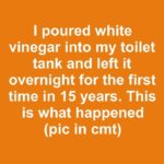 Better Than Bleach: The Homemade Cleaner That Removes Bathroom Limescale and Kitchen Grease Naturally