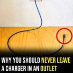 After Discovering This Trick, You’ll Never Look at Your Old Orchids the Same Way Again
