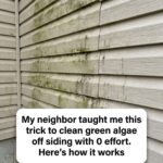 Lady Lays Gray Tiles Over Gravel in Her Backyard. This DIY Transformation Is Unreal