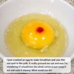 My Sister Makes These for Every Baby Shower—and They Vanish in Minutes! Nobody Guesses They Only Need 4 Ingredients