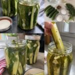 Monstera Plant Care Guide: Flourish with These Simple Tips!