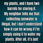 Practical Strategies to Naturally Deter Snakes and Maintain a Secure Residential Environment