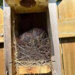 Before You Collect Rainwater, Know These Important Rules