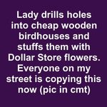 Did You Know That Old Bees Don’t Always Return to Their Hive at Night? Here’s What Really Happens