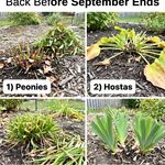 She Glued Thrifted Metal Bundt Pans to Wooden Broom Handles — Now Everyone Wants This Backyard Idea