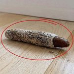 Horrified Man Finds Something Unbelievable in a Bag of Broccoli He Purchased from Aldi